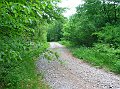 rovegno 06-06 028